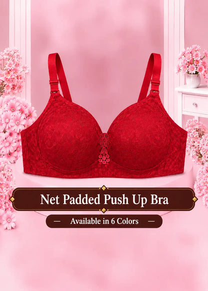 Net Padded Push Up Bra
