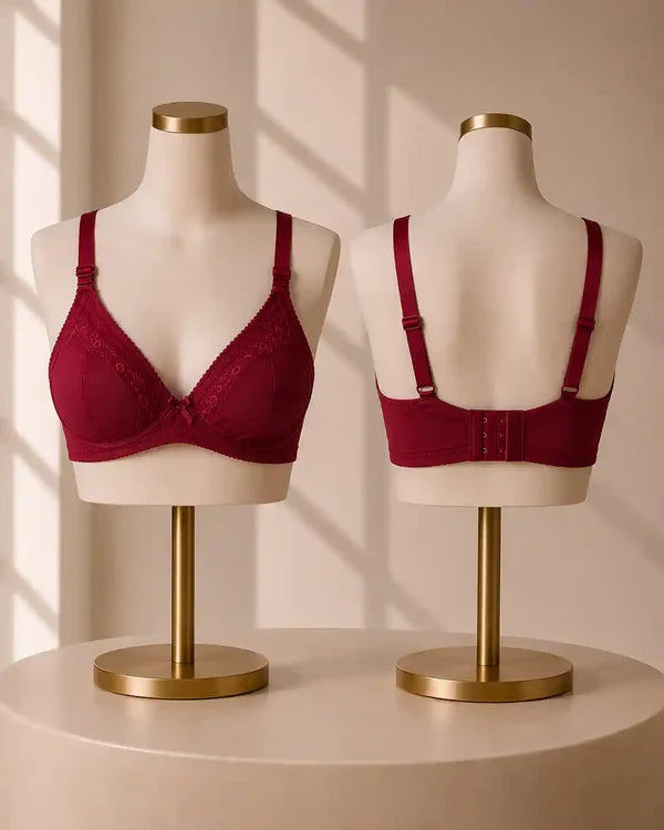 Premium Embroidered Full Coverage Bra Pack of 4