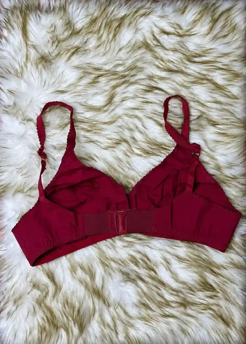 Swiss Lady Bra Pack of 4 Black, Pink, Maroon & Skin